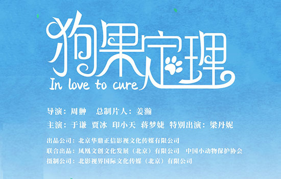 《狗果定理》
